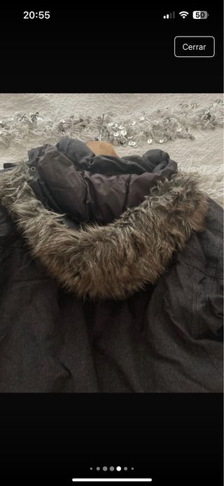 Parka The North Face gris
