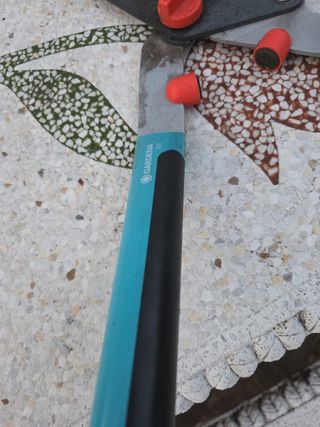 Tijeras podar jardín