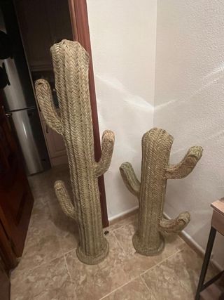 Conjunto de 2 cactus esparto. 150cm y 100 cm ALTO
