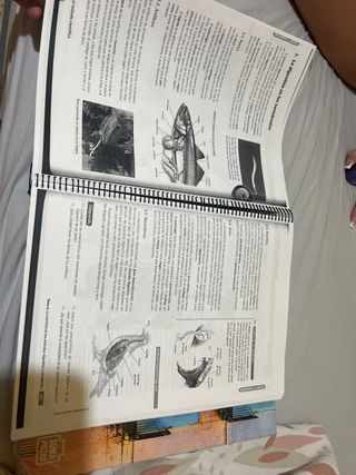 biologia, geología y ciencias ambientales 
