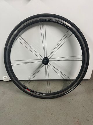 Rueda delantera Campagnolo Scirocco G3