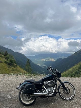Harley Davidson Sportster 883 Custom