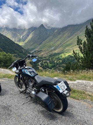 Harley Davidson Sportster 883 Custom