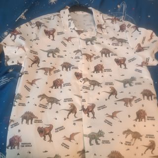 Conjunto camisaNiño Dinosaurios