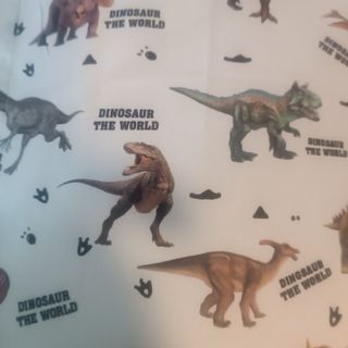 Conjunto camisaNiño Dinosaurios