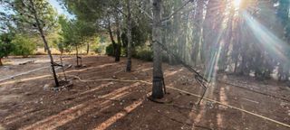 Terreno rústico en Monserrat valencia 