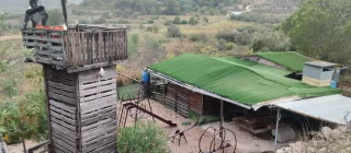 Terreno rústico en Monserrat valencia