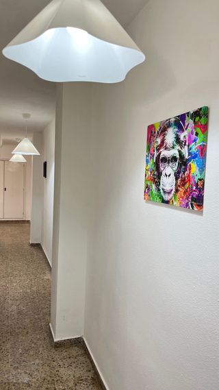Habitación en Alberic (Valencia)