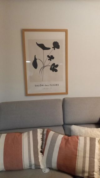 Marco con lámina - Salón des Fleurs