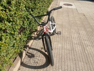 BMX ProXL FreeAgent