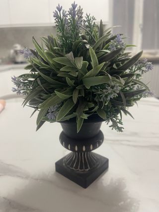 Pianta artificiale vaso nero
