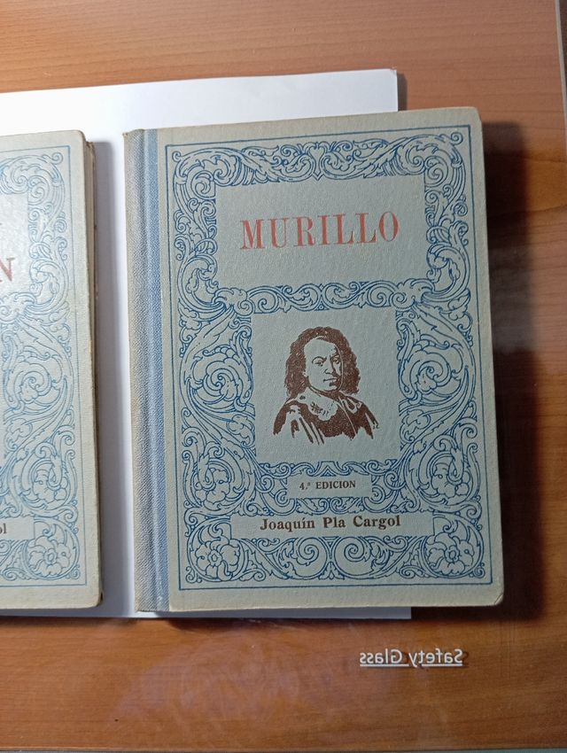 Vecchi libri di pittori spagnoli