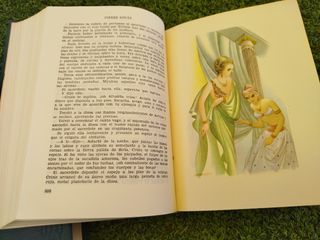 La Novela Amorosa.
