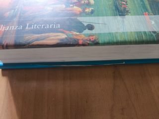 Lote 2 novelas históricas