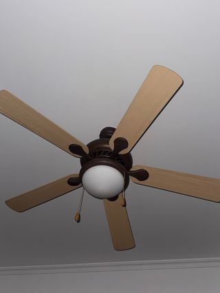 Pantalla de cristal Opaca