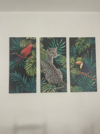 3 Cuadros decorativos - Selva