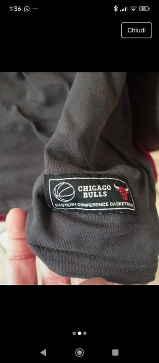 Maglia Chicago Bulls vintage