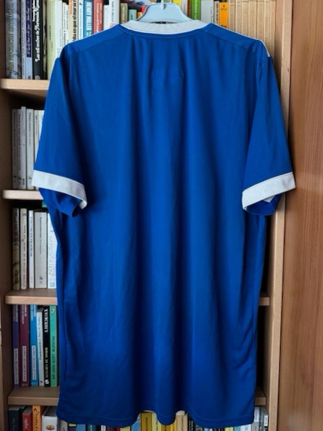 Camiseta Ipswich Town original Adidas 2020/2021