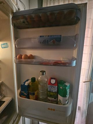 Frigorífico Edesa No Frost
