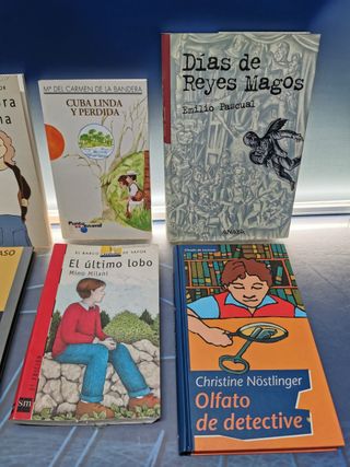 12 libros juveniles, el barco de vapor, ala delta, y mas