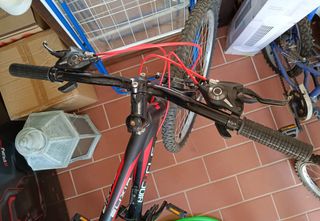 Bicicleta montaña Biocycle Elixia