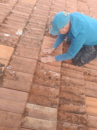 Reforma, jardinería,tejado, pintura,poda tala.etc