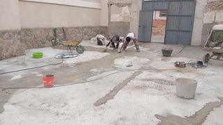 Reforma, jardinería,tejado, pintura,poda tala.etc