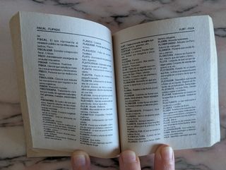 Diccionario castellano de bolsillo 