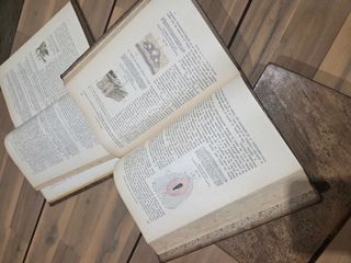 Libros Anatomía Humana Testut (1913)