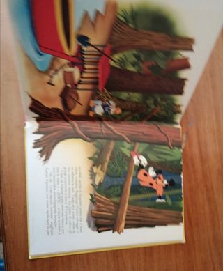 2 libri/fumetti Paperino