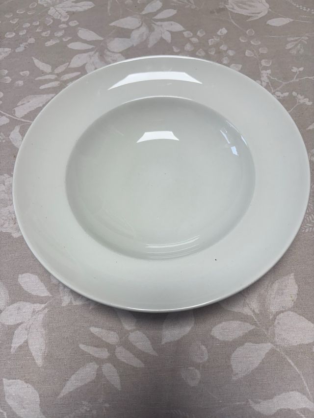 plato ceramica alta calidad garantia de uso
