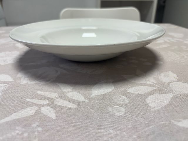 plato ceramica alta calidad garantia de uso