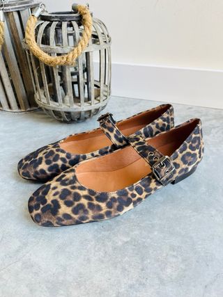 Bailarinas BLG8 - Piel Animal Print 37