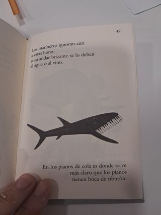 Libro chilindrinaa de Tomás serán y casas