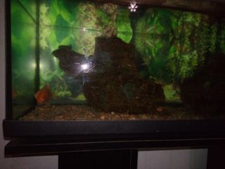 Acuario 1m con armario