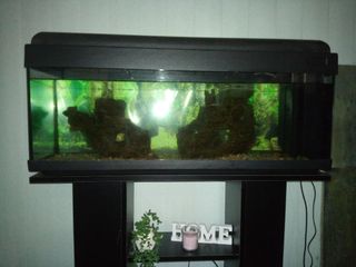 Acuario 1m con armario
