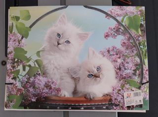 Carpeta gatitos