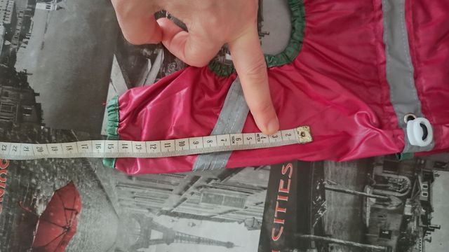 Chubasquero rojo chihuahua