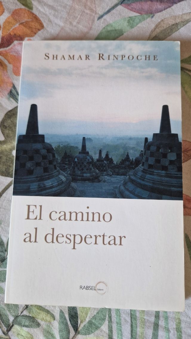 El Camino Al Despertar
