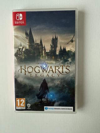 Hogwarts Legacy Nintendo Switch