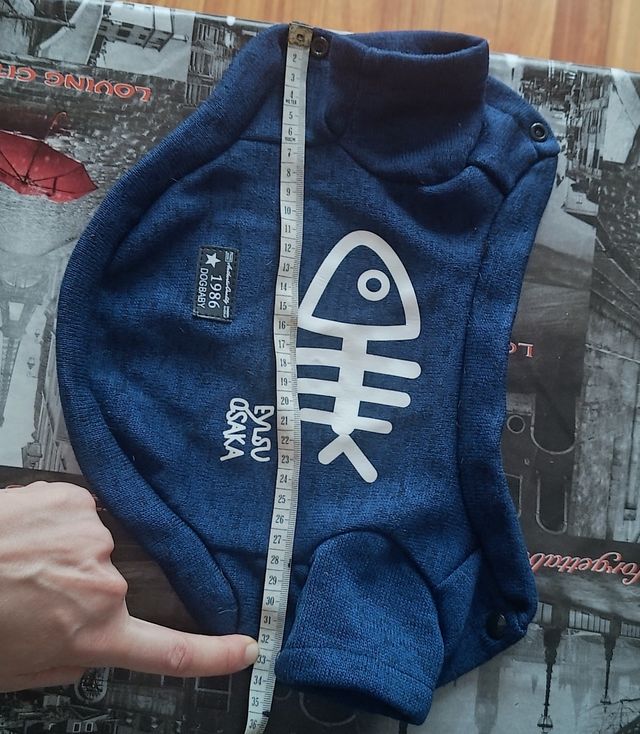 Chaqueta azul chihuahua