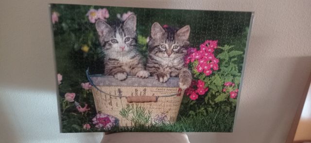 Cuadro puzzle gatitos