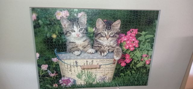 Cuadro puzzle gatitos