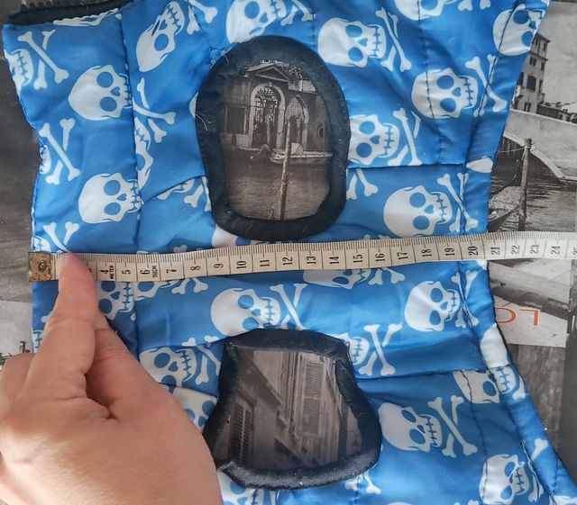 Chaleco chihuahua azul,con divertidas calaveras