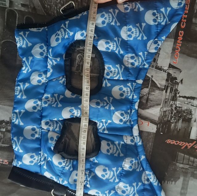 Chaleco chihuahua azul,con divertidas calaveras