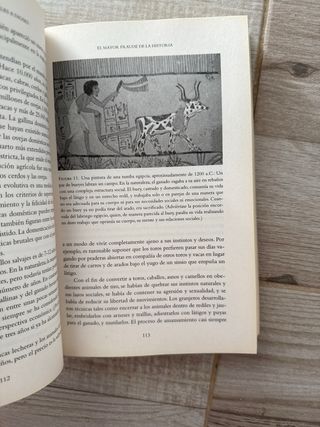 Sapiens. De animales a dioses 