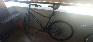 Bicicleta paseo