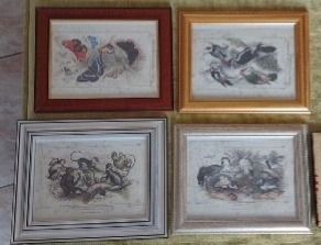 4 Stampe Litografiche Blackie & Son