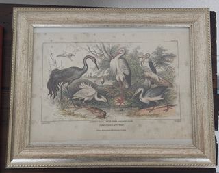 4 Stampe Litografiche Blackie & Son