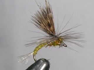 MOSCAS PARA LA PESCA DE TRUCHAS 